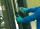 ANSELL 92-500/070 Touch N Tuff